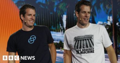 Winklevoss crypto firm Gemini to return $1.1bn to customers