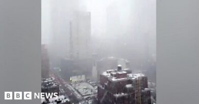 World famous New York skyline obscured by snow