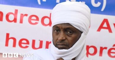 Yaya Dillo: Chad opposition leader killed in shootout