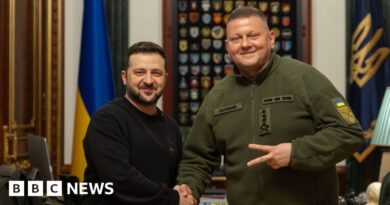 Zelensky sacks Ukraine's commander-in-chief Valerii Zaluzhnyi