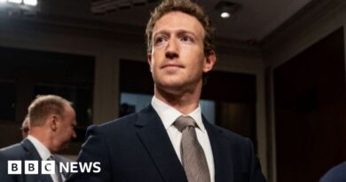 Zuckerberg wins on Wall Street after Washington hit