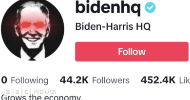 'Lol hey guys' - Biden joins TikTok despite security concerns