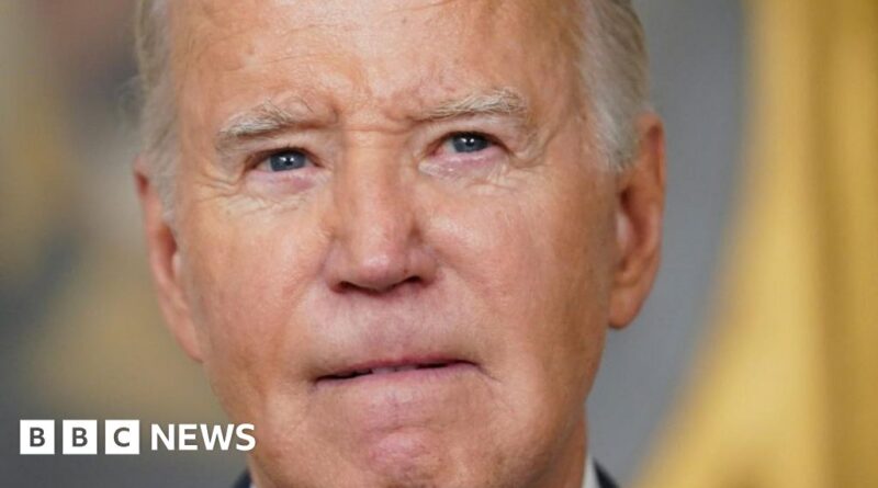 'My memory is fine' - Biden hits back at special counsel