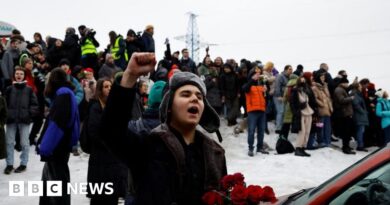 Alexei Navalny: Hundreds chant defiance as they bid farewell to Navalny