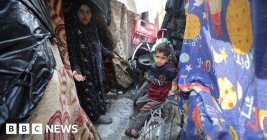 Children starving to death in northern Gaza - WHO