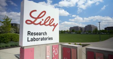 Eli Lilly says FDA delays approval of Alzheimer's drug in surprise move