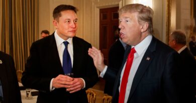 Elon Musk reportedly met with Donald Trump in Florida