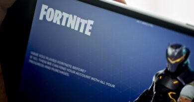 Fortnite is coming back to iOS in Europe (for real this time) | TechCrunch