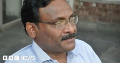 GN Saibaba: India frees disabled academic jailed for Maoist links