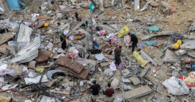 Gaza in numbers: 30,000 dead, 80% displaced, half million on brink of famine