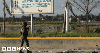 Haiti gangs try to take over Port-au-Prince airport