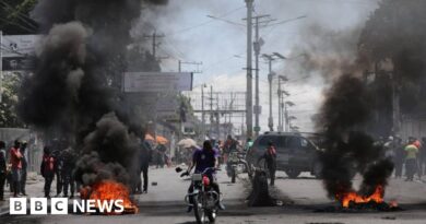 Haiti's main port closes as gang violence spirals