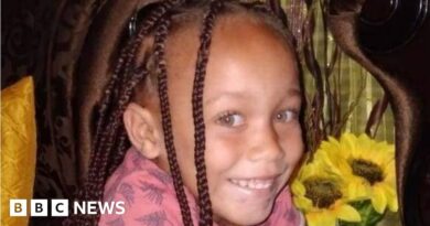 Joslin Smith: South African police question four over missing girl