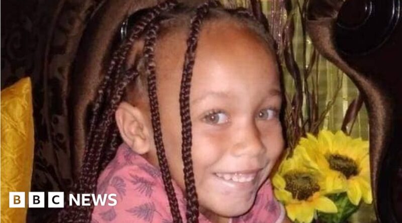 Joslin Smith: South African police question four over missing girl