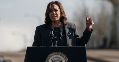 Kamala Harris urges Hamas to agree to an immediate ceasefire, pushes Israel on aid to Gaza