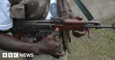 Kuriga kidnap: More than 100 Nigerian pupils abducted