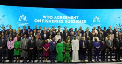 Muted outcome of WTO talks throws trade body into 'crisis'