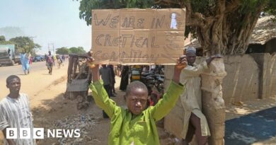 Nigeria abduction: At least 28 schoolchildren escape captors