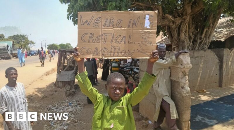 Nigeria abduction: At least 28 schoolchildren escape captors