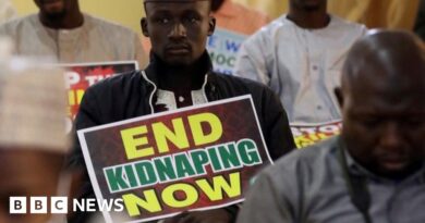 Nigeria's mass abductions: What lies behind the resurgence?