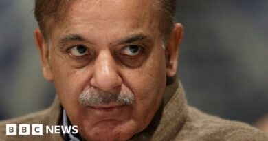 Pakistan: Shehbaz Sharif wins second term as prime minister