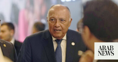 Shoukry: Egypt hopeful of Gaza ceasefire deal before Ramadan