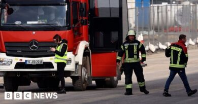 Tesla factory in Germany halts production after suspected arson