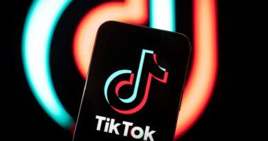 TikTok takes center stage in 2024 elections as candidates try to ban app while some are using it