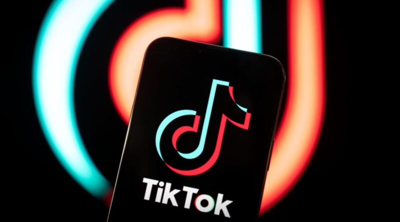 TikTok takes center stage in 2024 elections as candidates try to ban app while some are using it