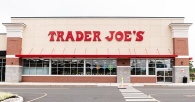 Trader Joe's chicken soup dumplings recalled for possibly containing permanent marker plastic