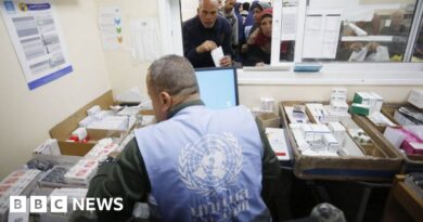 UNRWA: Sweden and Canada resume funding for UN agency for Palestinian refugees