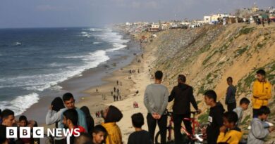 US to set up temporary port on Gaza coast for aid delivery