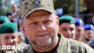 Valerii Zaluzhnyi: Ukraine to appoint ex-army chief as UK ambassador