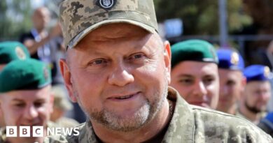 Valerii Zaluzhnyi: Ukraine to appoint ex-army chief as UK ambassador