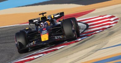 Verstappen on pole in Bahrain in boost to Red Bull and Horner