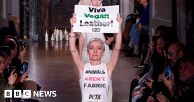 Victoria Beckham's fashion show disrupted by Peta protesters