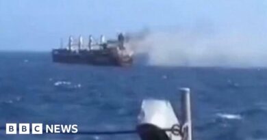 Watch: Indian navy rescues ship crew after Houthi attack