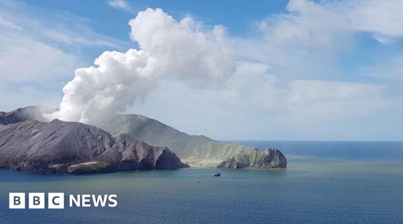 White Island volcano: Tour operators ordered to pay millions to victims