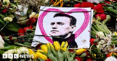 'Nobody is scared' - crowds defiant at Navalny's funeral