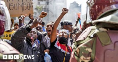 Blood Parliament: Rights groups call for probe after BBC Africa Eye documentary