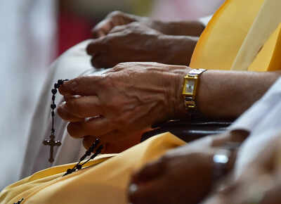 Cardinals congregate in Rome to elect new Pope after death of Francis at 88: Who they are and what they do
