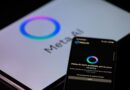 The Meta AI app is displayed on a mobile phone with the Meta AI logo visible on a tablet in this photo illustration