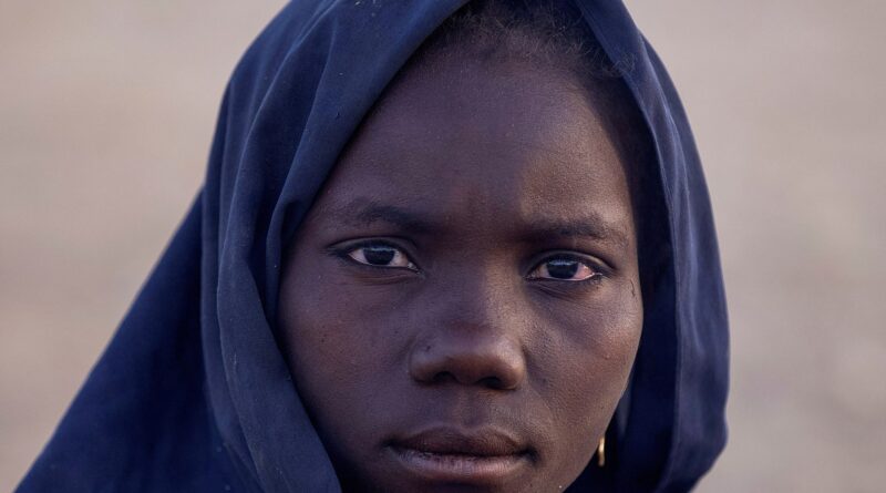 ‘A tree is worth more’: The civilians who fled Zamzam as the RSF attacked