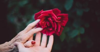 5 Verses From the Holy Quran on Love