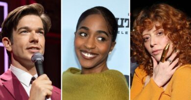 All your favorite comedians starred on this animated Netflix show