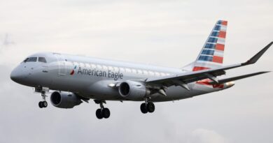 An American Airlines flight turned around after a passenger tried to drag a flight attendant down the aisle, an affidavit says