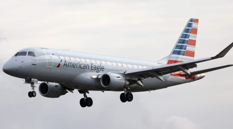 An American Airlines flight turned around after a passenger tried to drag a flight attendant down the aisle, an affidavit says