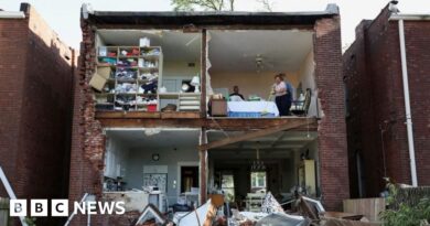 At least 21 dead after tornadoes sweep through US Midwest