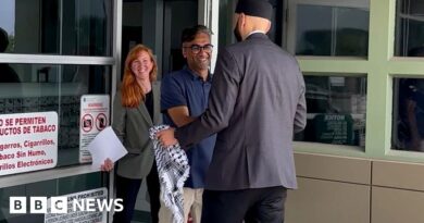Badar Khan Suri: Georgetown academic freed from immigration detention