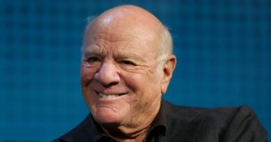Barry Diller says to let Trump's tariffs happen, though he thinks they will 'end in tears'